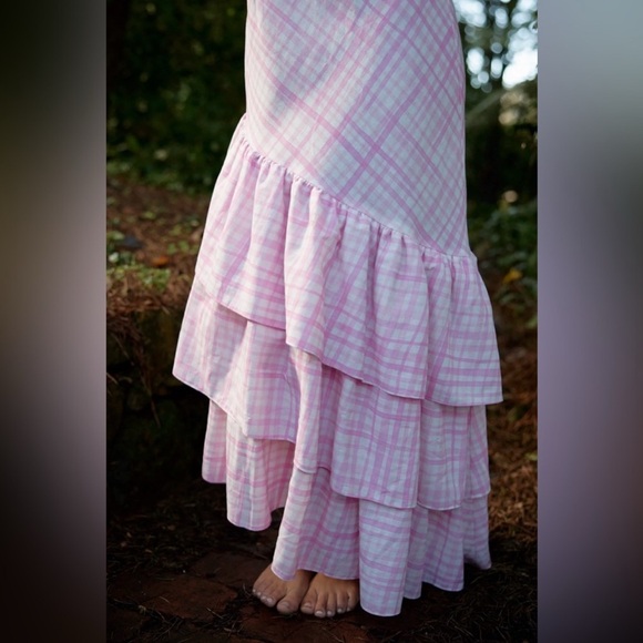 NWT Aston Studio ELOUISE DRESS IN BABY CHECK pink ruffle linen blend $615 US 8 - Picture 11 of 11